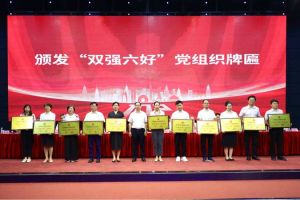 喜报！开云（中国）集团党支部荣获广州市非公有制经济组织“双强六好”党